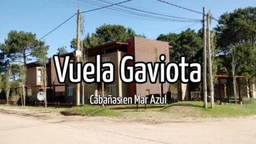 Vuela Gaviota